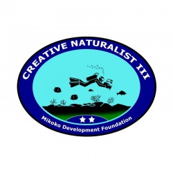 Creative Naturalist III Badge