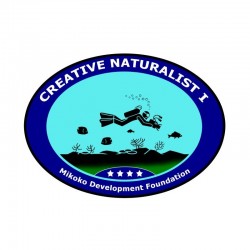 Creative Naturalist I Badge